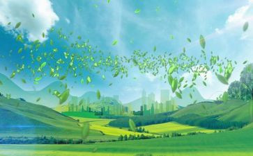 生态有关的作文参考7篇