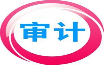 局审计工作报告精选6篇