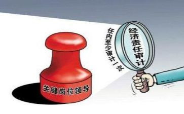 审计组工作总结最新6篇