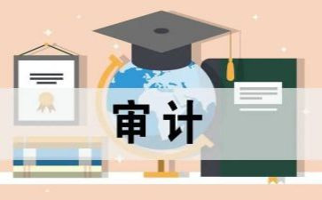 对审计工作的心得体会8篇