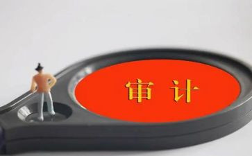 读审计心得体会6篇