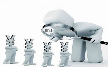审计员个人年度工作总结6篇
