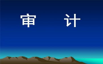 2024年度内部审计工作总结7篇