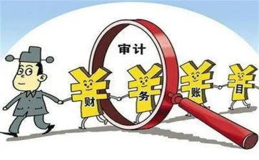 审计工作年度工作计划6篇
