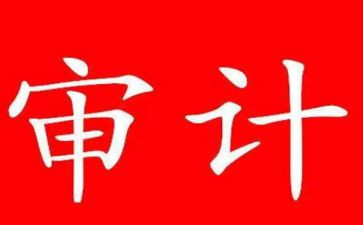 干审计工作的心得体会7篇