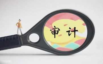局审计工作报告7篇