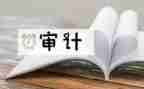 财务审计股工作总结5篇