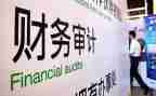 审计人年度总结报告8篇