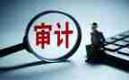 经审计整改报告8篇