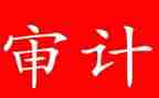 干审计工作的心得体会7篇