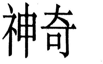神奇的船作文5篇