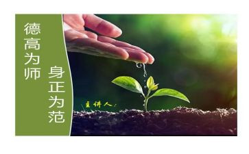 2023小学教师师德师风总结报告6篇