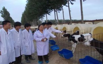 兽医师的述职报告范文优质5篇