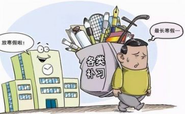 双减心得体会范文精选5篇