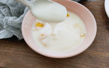 酿酸奶心得体会8篇
