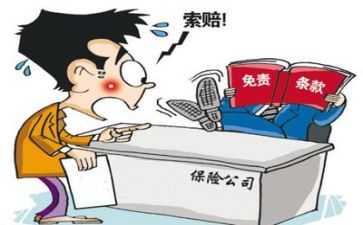 鼎和索赔申请书5篇