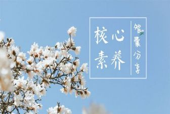 信息技术素养类心得体会5篇