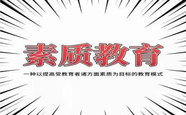 素质个人总结精选8篇