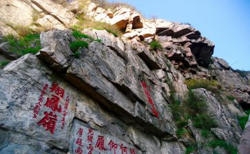 生命泰山心得体会8篇