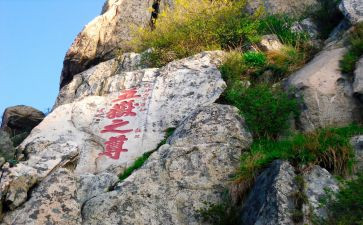 生命重于泰山心得体会8篇