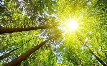 四个太阳优秀教案5篇
