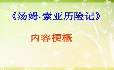 对汤姆索亚的心得体会6篇