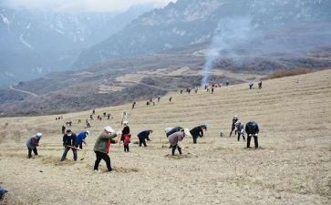 特岗教师培训的心得体会通用6篇