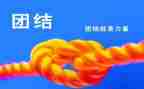 团结合作心得体会5篇