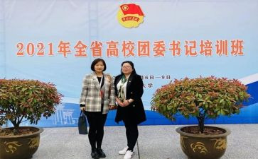 系团委个人工作总结范文8篇