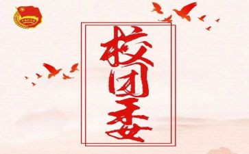 局团委工作报告最新8篇