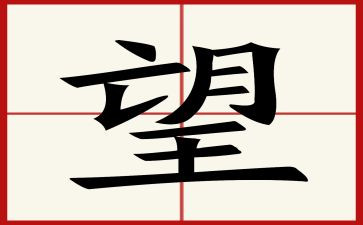 《我希望...》作文参考5篇