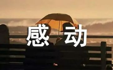 感动中国人物2023人物事迹模板5篇