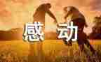 感动事迹的作文5篇