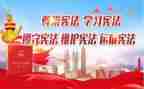 宪法小卫士心得体会6篇