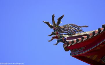 核文化的心得体会参考7篇