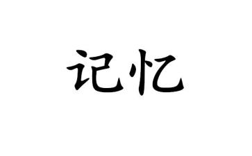 你,留在我的记忆里作文7篇