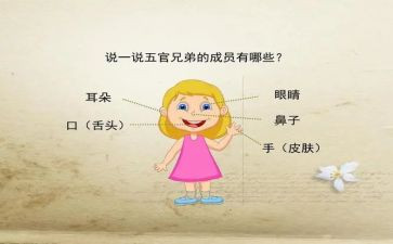 五官作文小作文模板7篇