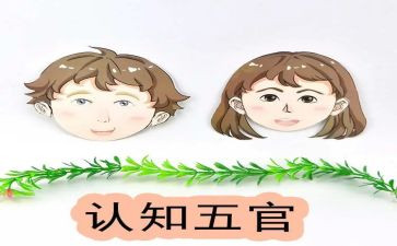 认五官教案精选7篇