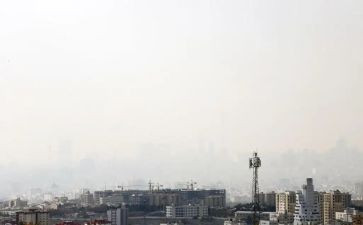 铅污染调查报告最新7篇