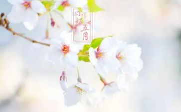 五月份幼儿园工作总结优质5篇