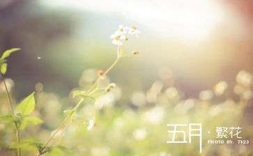 大班五月保育工作计划5篇