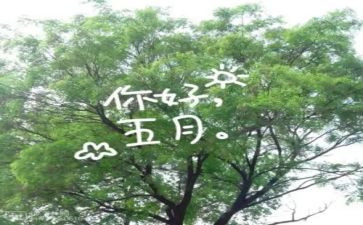 教师五月工作计划7篇