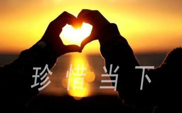 惋惜的作文7篇