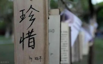 关于珍惜的作文600字6篇