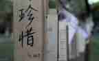 关于珍惜的作文600字6篇