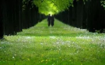 与_相伴作文参考5篇