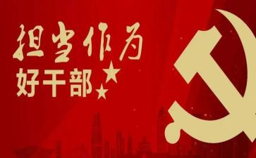 2024年度乡镇干部工作总结6篇