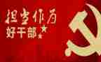 2024年度乡镇干部工作总结6篇