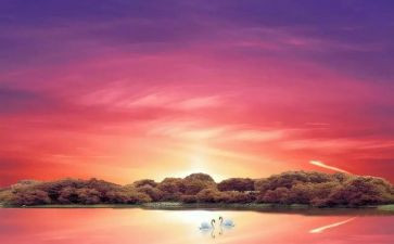 骆驼祥子的心得100字7篇