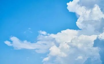 骆驼祥祥子读后感6篇